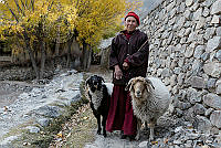 H03_Sandor_Hodos_Lady with sheeps.jpg