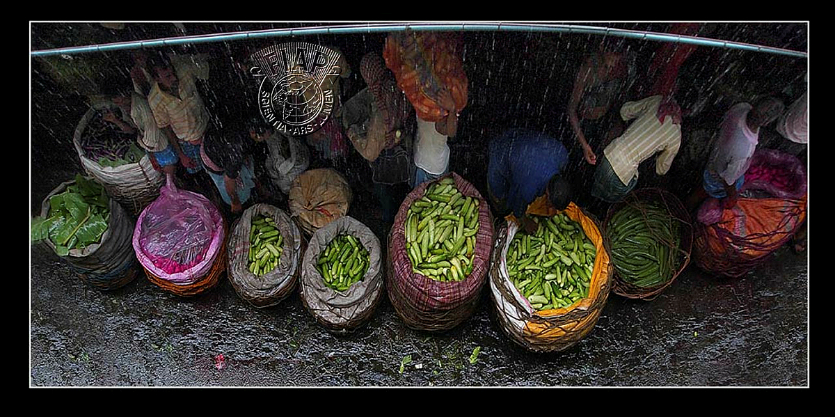 I01_SANDIP_SAHA_Local Market.jpg