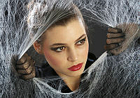 I02_Fendy P.C._Yeoh_Spider lady.jpg