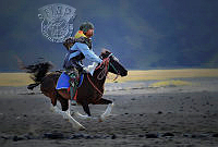 I02_Rafly_Rinaldy_Flying Horse.jpg