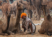 I02_Soerjo_Winarto_Man and his camel.jpg