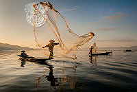 I03_ANDREWS_Gerry_Early Morning Catch.jpg
