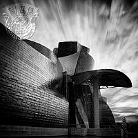 I03_LEITE_Javier_Guggenheim Bilbao.jpg