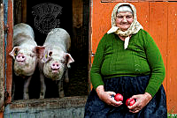 I05_Zagolin Sandra_ Two pigs.jpg