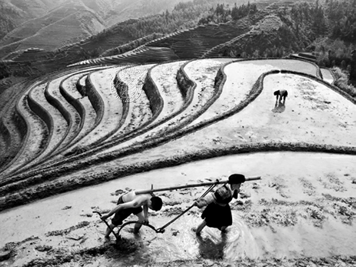 IL-8501_Feng-Lin_CHEN_Manpower Tills the Fields.jpg