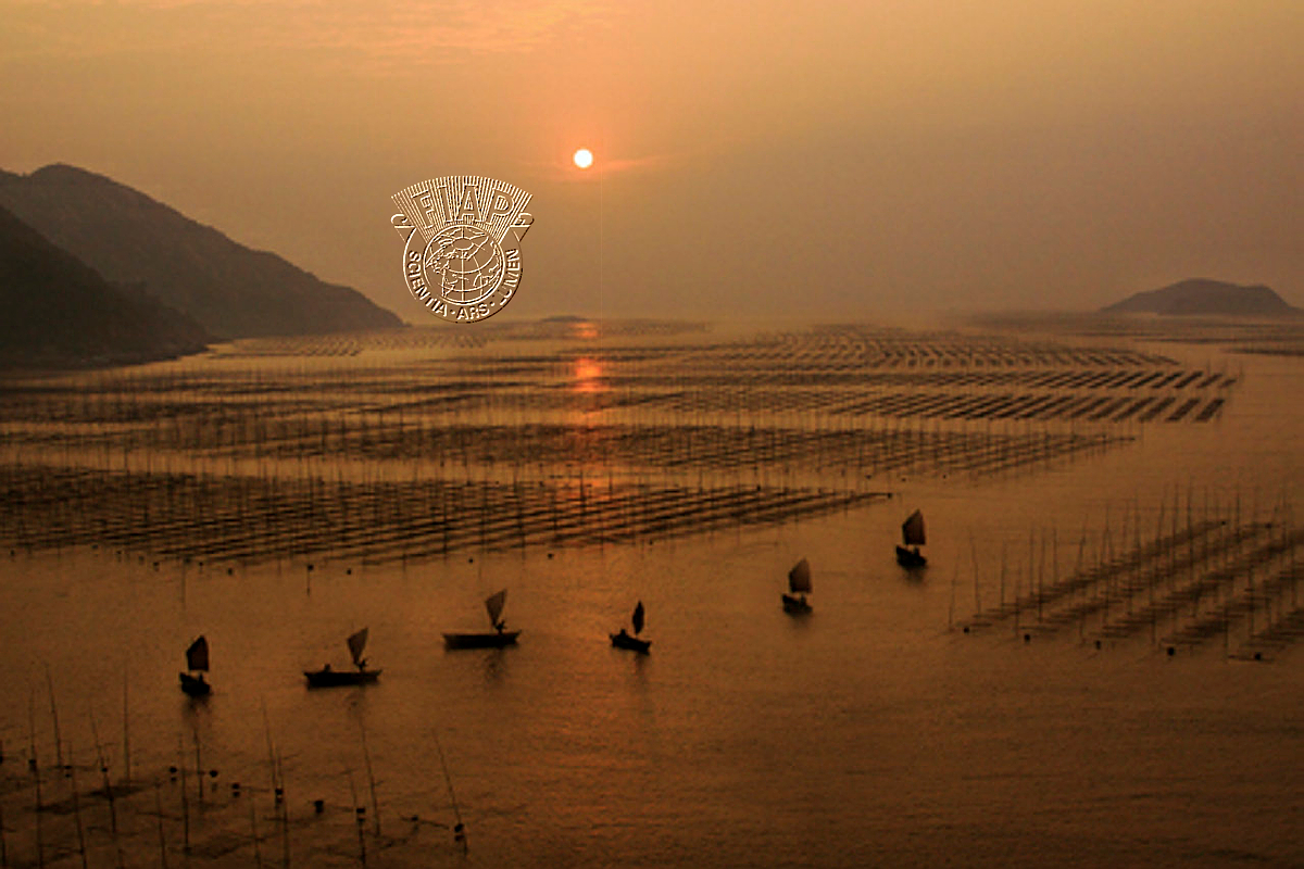 IL-8501_Jennifer Chi Hung_Wen_Sunset Fishing Sails.jpg