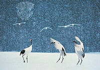 IL 2029_Shi, Xiao Ying - Dancing in the snow.jpg