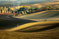 IL2076_Krzysztof Browko_Autumn fields.jpg