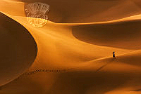 O01_Zuhair Alsiyabi_Crossing the sands.jpg