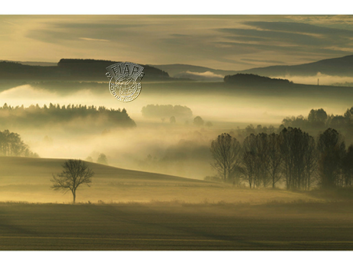P02_Zygmunt_Trylanski_ Mornin_Glow.jpg