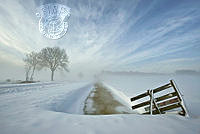 P04_Jan_Ros_ Winter Cold.jpg