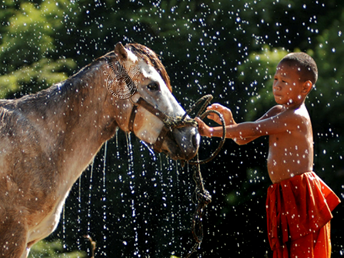 S03_Edward Cheong_03_Horse Bathing.jpg