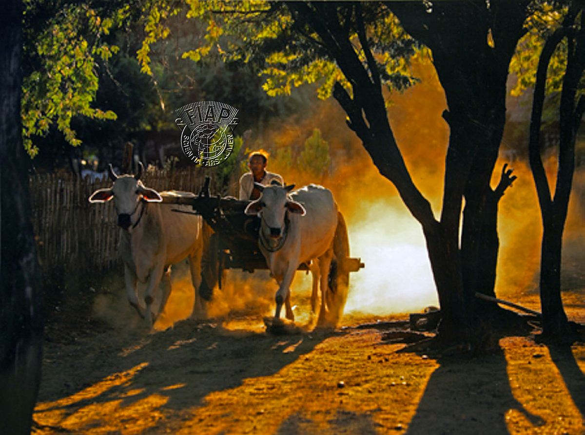 S10_Lim Chee Keong_Going Home.psd