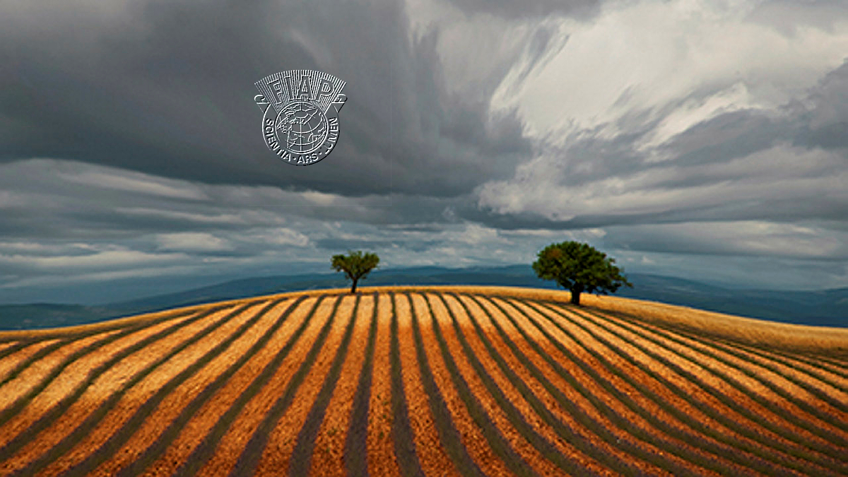 S5-705_Miran_Krapez _PROVENCE 201.jpg