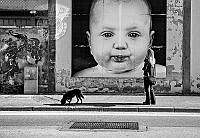S5-705_Simon_Kovacic_Baby_on_the_wall.jpg