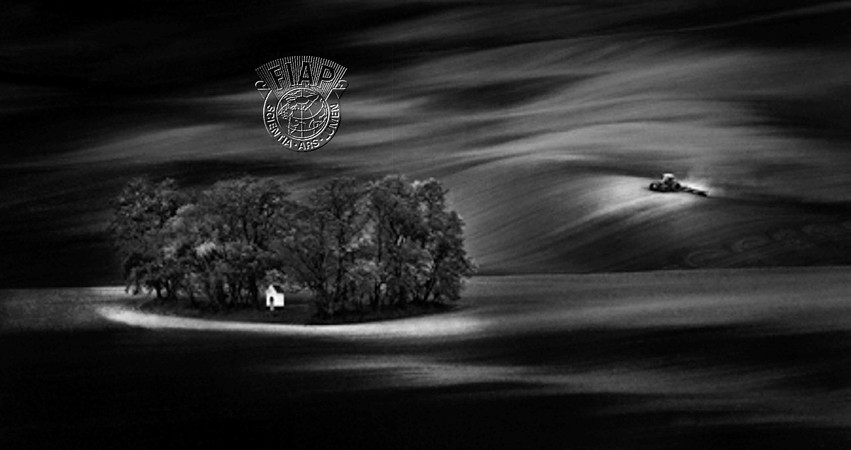 T01Sarka_Svobodova_Meeting_of_worlds.jpg