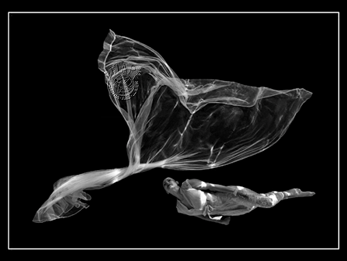 T01_Petr Kleiner_White whale .jpg