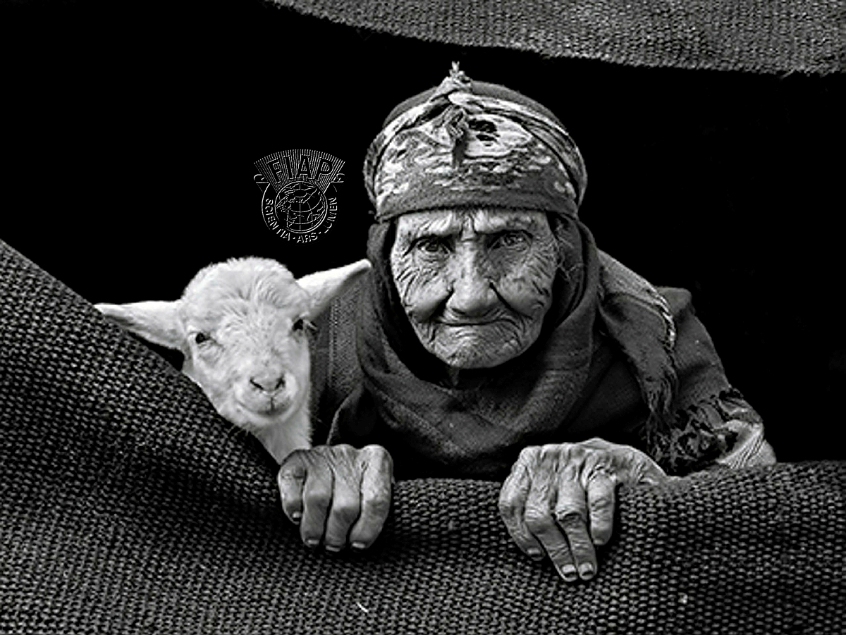T03_Cihan_Karaca_Grandmother_and_lamb.jpg