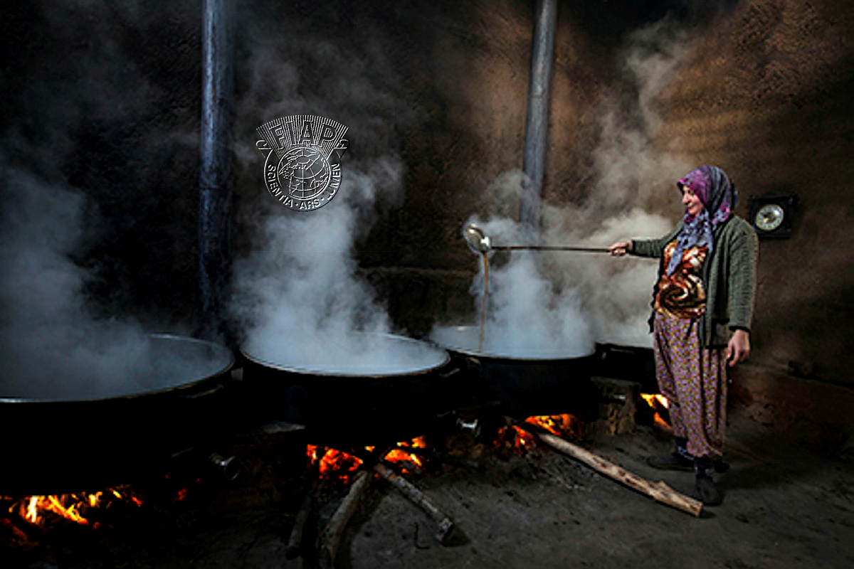 T03_Fikri_Ozalp_molasses py.jpg