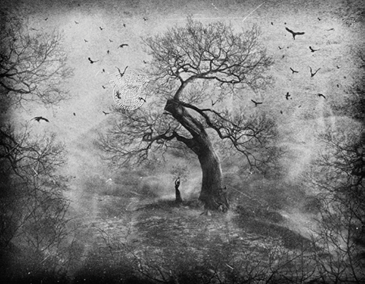 U04_AFIAP Anatoliy Volokh_ rebirth of life.jpg