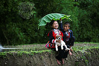 V01_Nguyen_Vu Phuoc_lovely in the rain.jpg